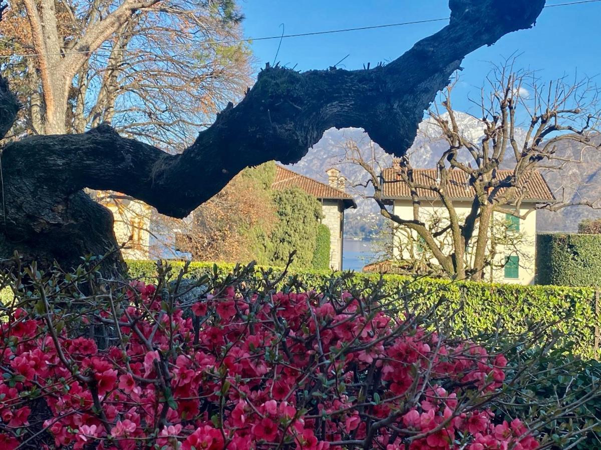 Villa Magnolia - Lake Como Lenno Exteriör bild